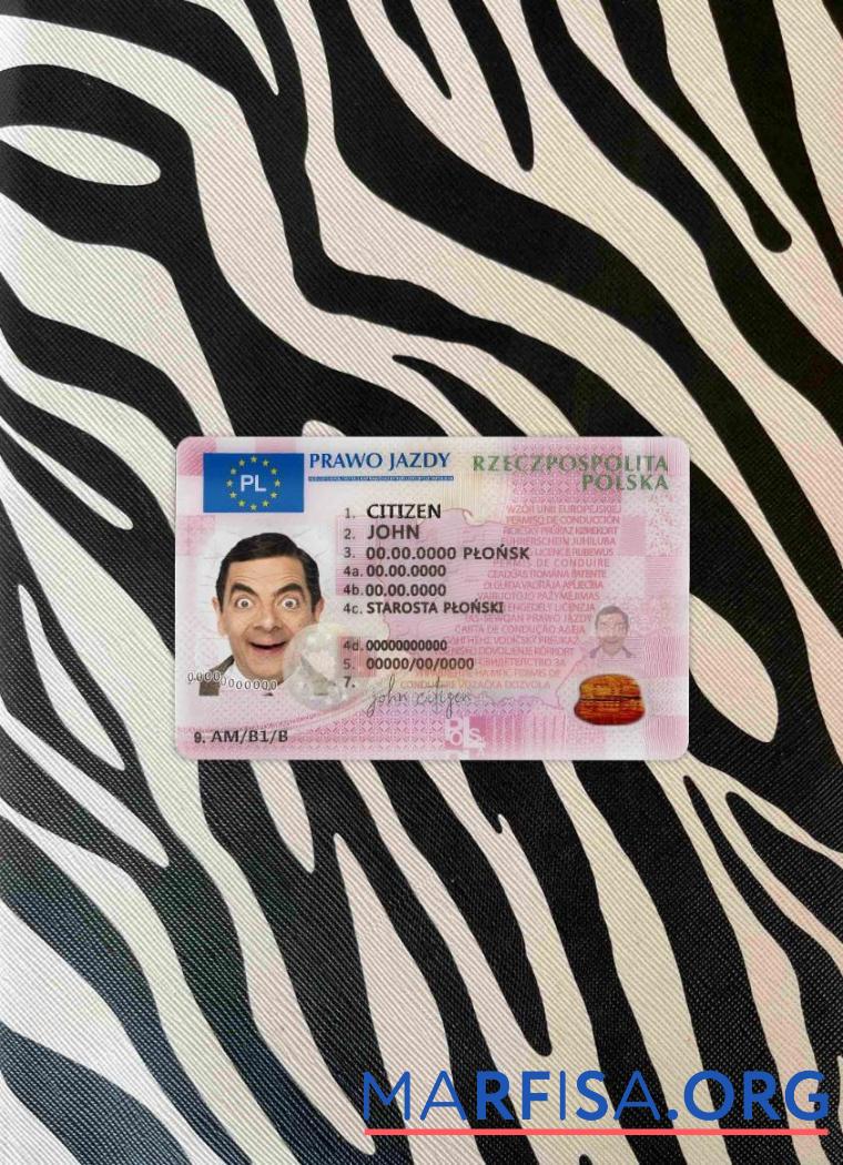 Printable Poland DL 2019 present photolook template